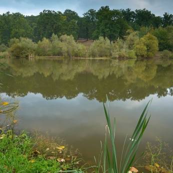 Parcul Natural Vânători - Neamț